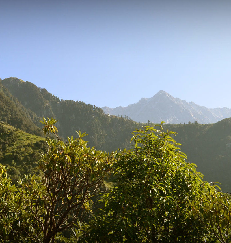 Trekking-in-Mcleodganj